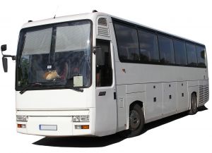 Local Napier Bus Services